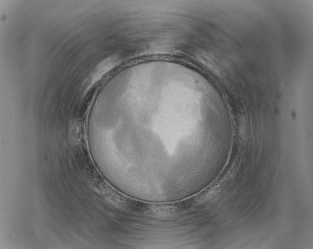 X0000070361258200606091023