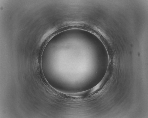 X0000070361261200606091022