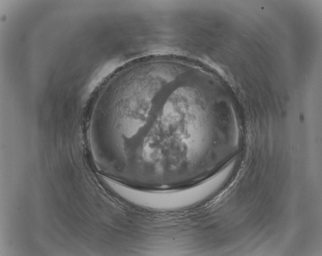 X0000070361263200606091022