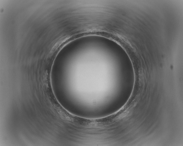 X0000070361265200606091022