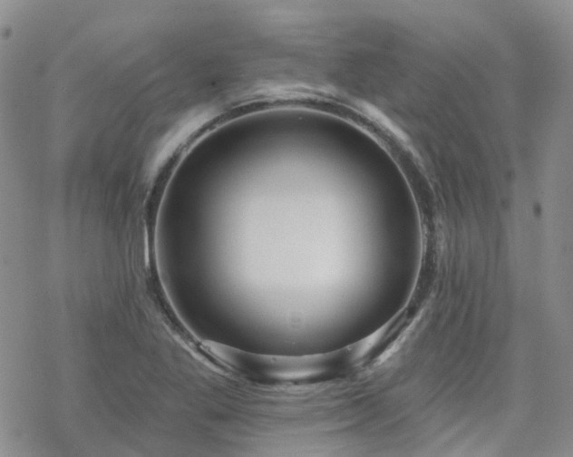 X0000070361269200606091022