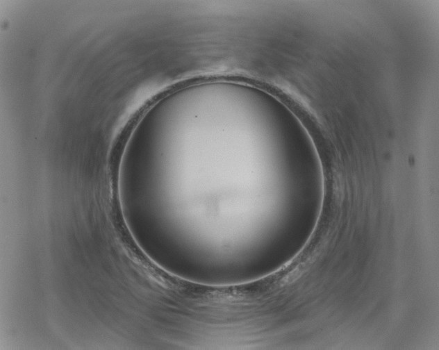 X0000070361270200606091022