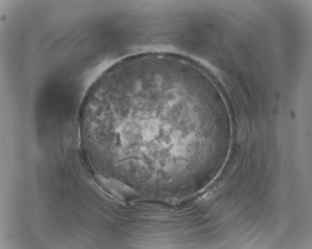 X0000070361271200606091022