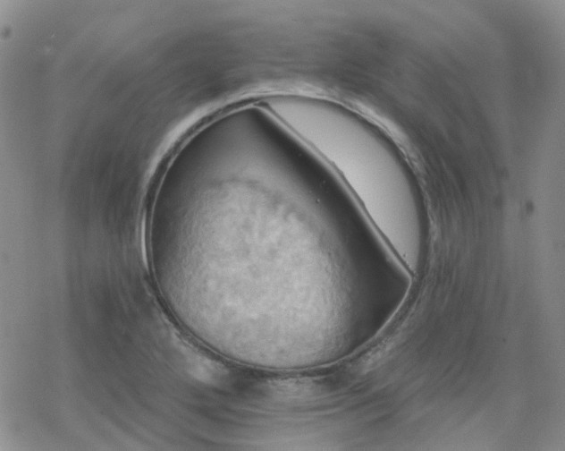 X0000070361272200606091022