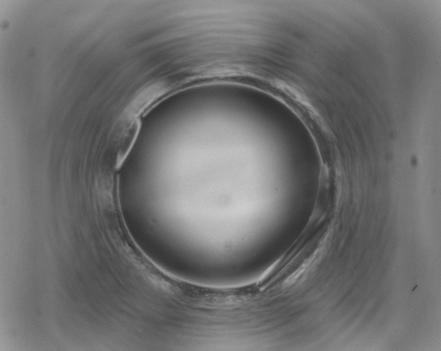 X0000070361273200606091022