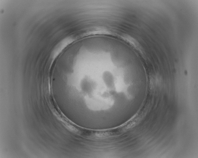 X0000070361274200606091022