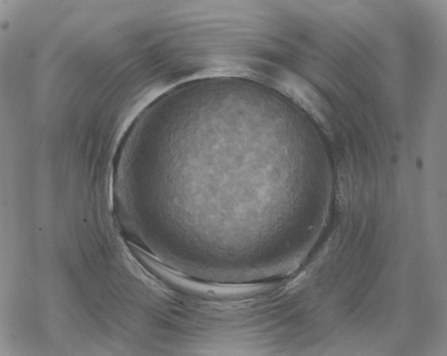 X0000070361276200606091022