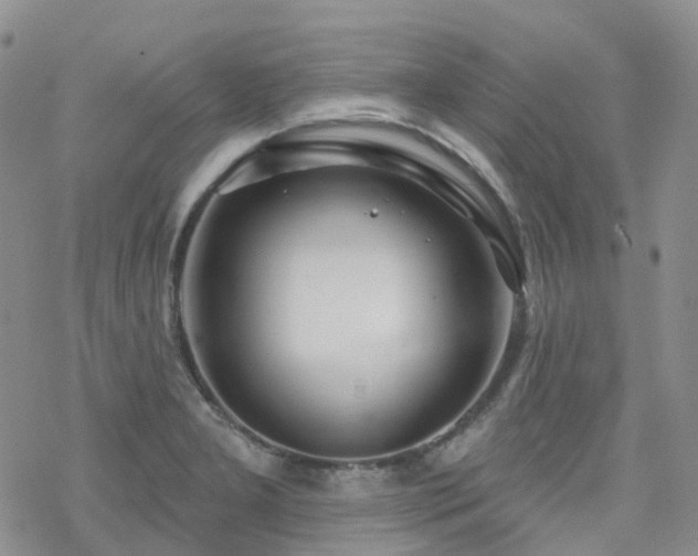 X0000070361277200606091022