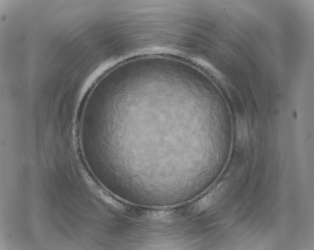 X0000070361278200606091022