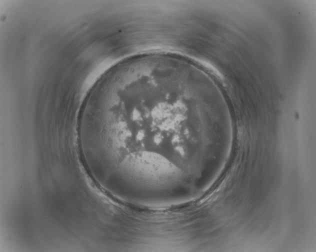 X0000070361279200606091022