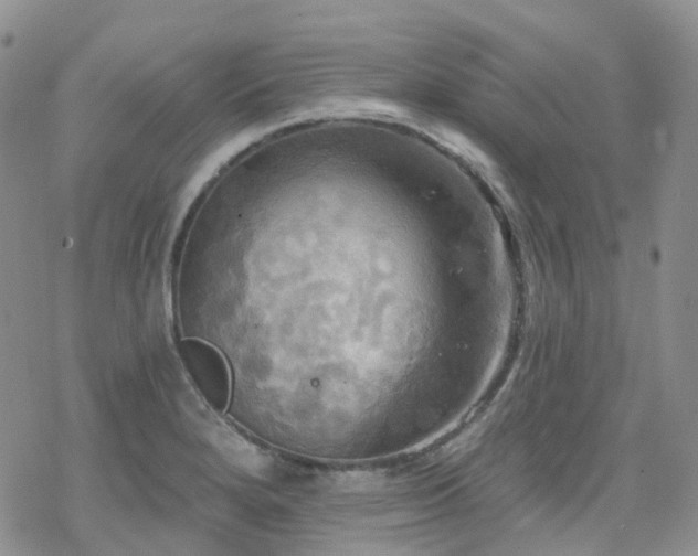 X0000070361280200606091022