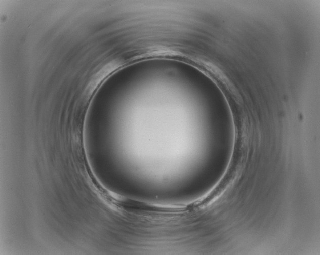 X0000070361281200606091022