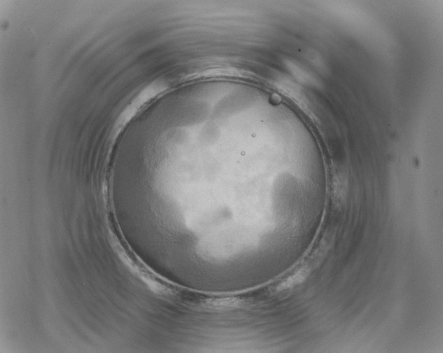 X0000070361282200606091022