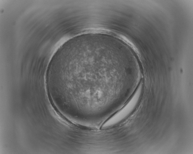 X0000070361283200606091022