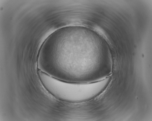 X0000070361284200606091022