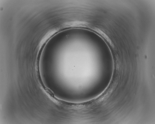 X0000070361285200606091022