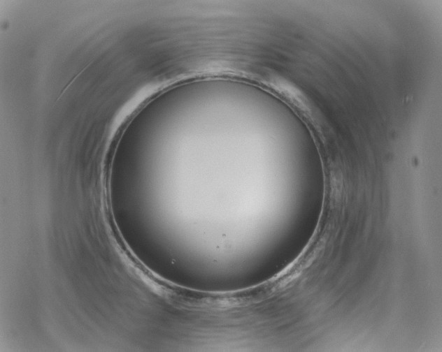 X0000070361286200606091022