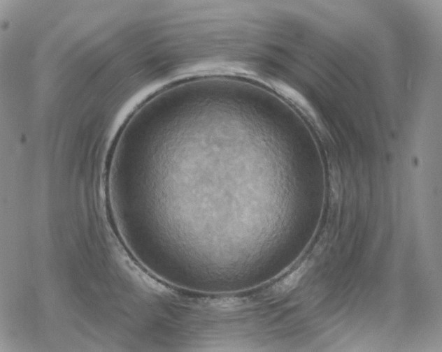 X0000070361288200606091022