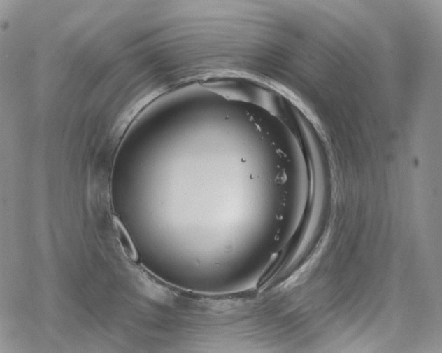 X0000070361289200606091022