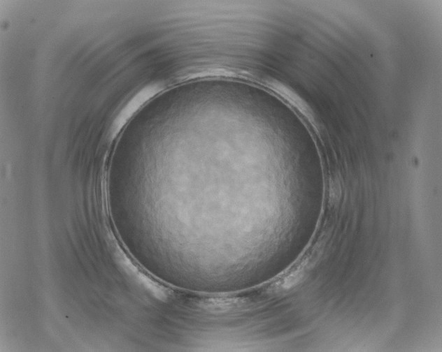 X0000070361290200606091022