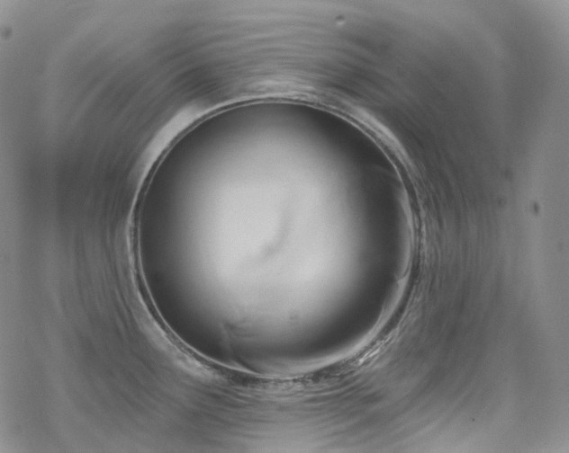 X0000070361291200606091022