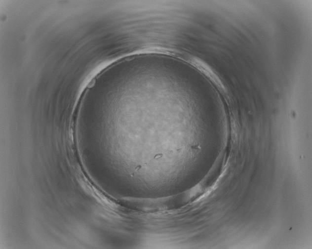 X0000070361292200606091022