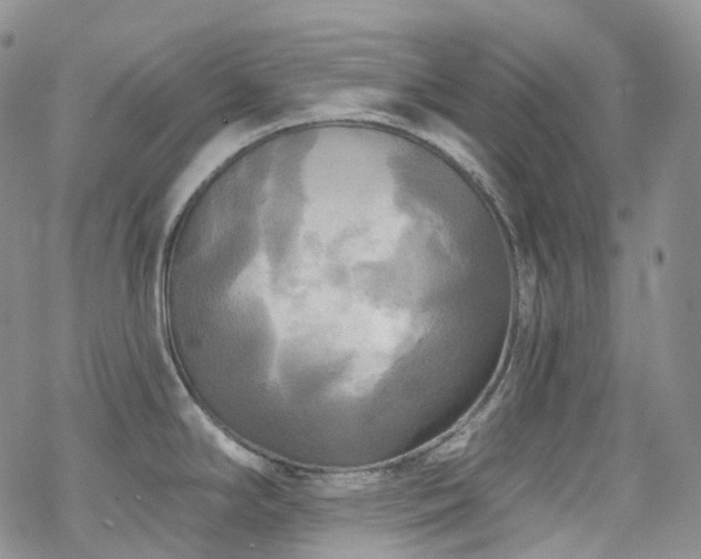 X0000070361294200606091022