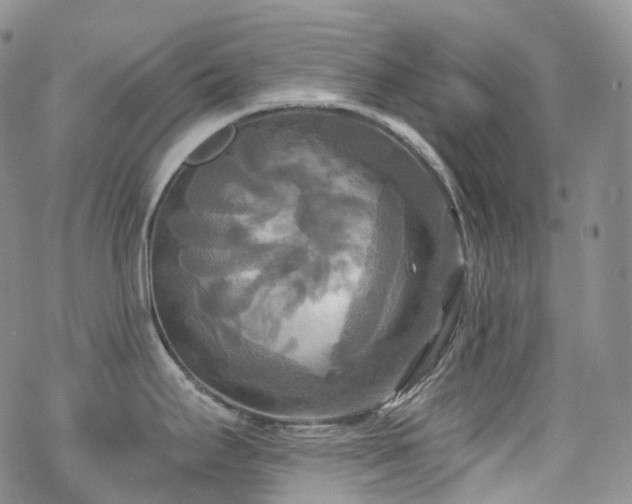 X0000070361295200606091022