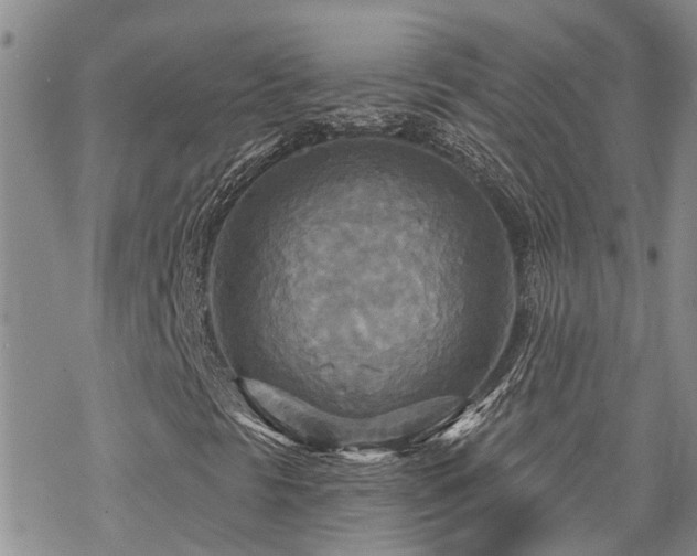 X0000070361297200606091021