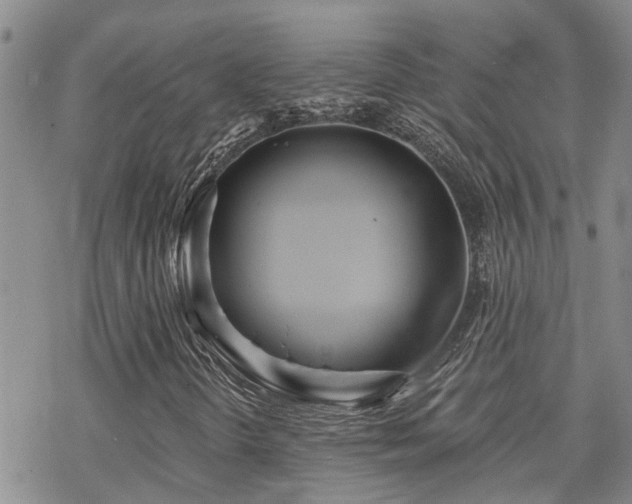 X0000070361298200606091021