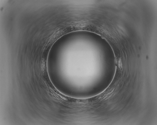 X0000070361299200606091021