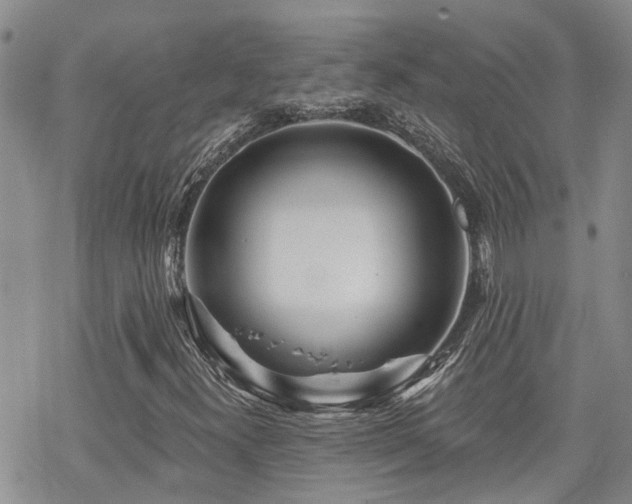 X0000070361300200606091021