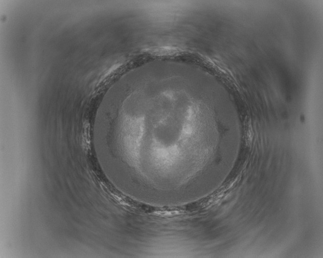 X0000070361301200606091021