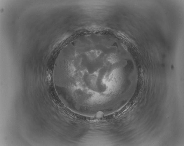 X0000070361302200606091021