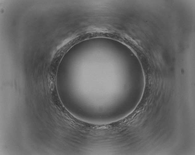 X0000070361303200606091021