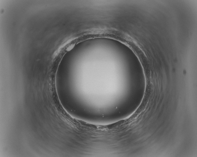 X0000070361304200606091021