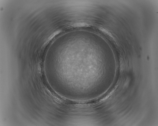 X0000070361305200606091021