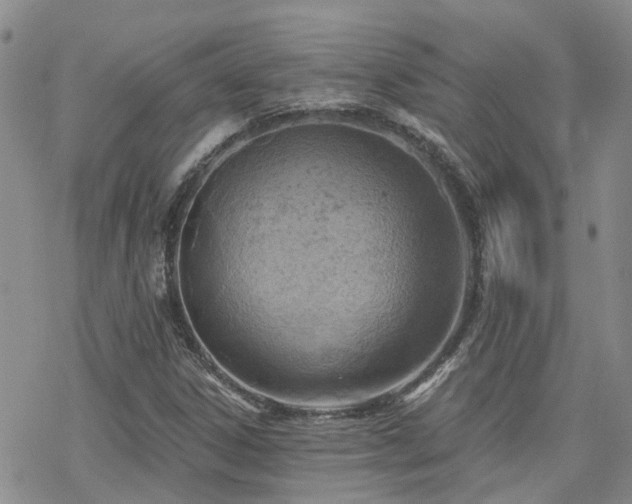 X0000070361306200606091021