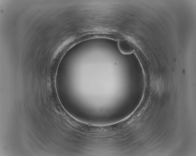 X0000070361307200606091021