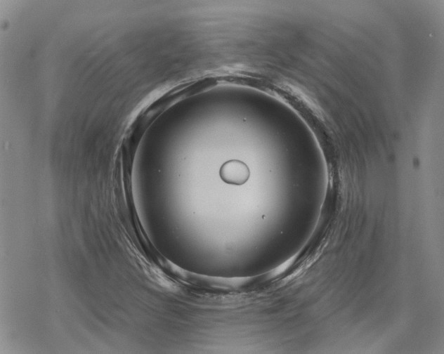 X0000070361308200606091021