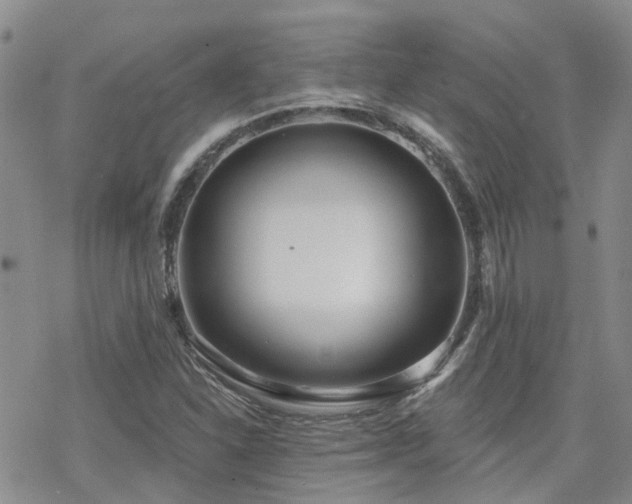 X0000070361310200606091021