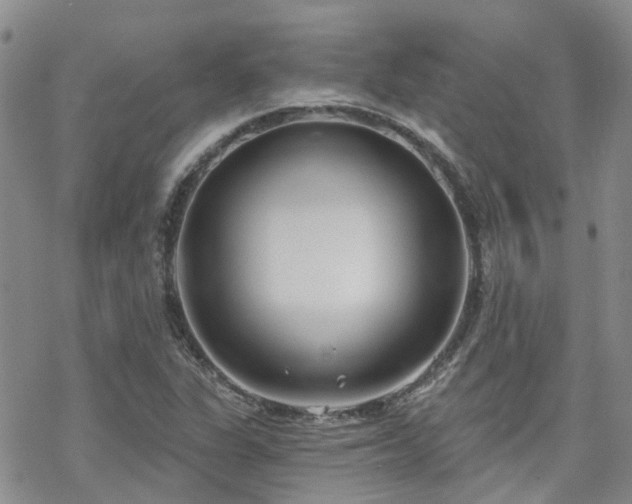 X0000070361311200606091021