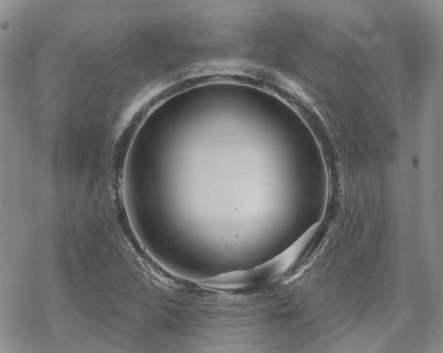 X0000070361312200606091021