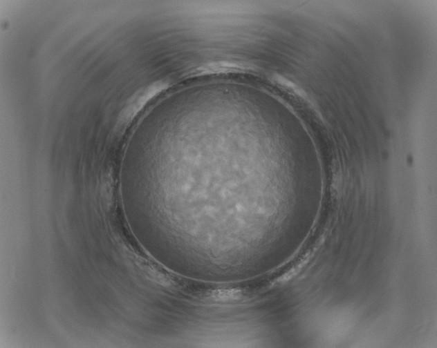 X0000070361313200606091021