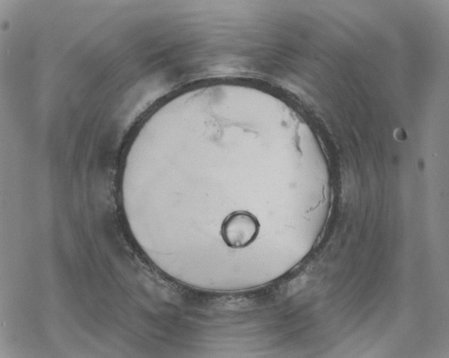 X0000070361314200606091021