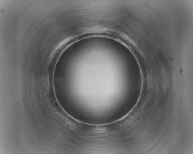 X0000070361315200606091021