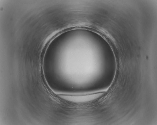 X0000070361316200606091021