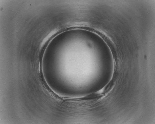 X0000070361317200606091021