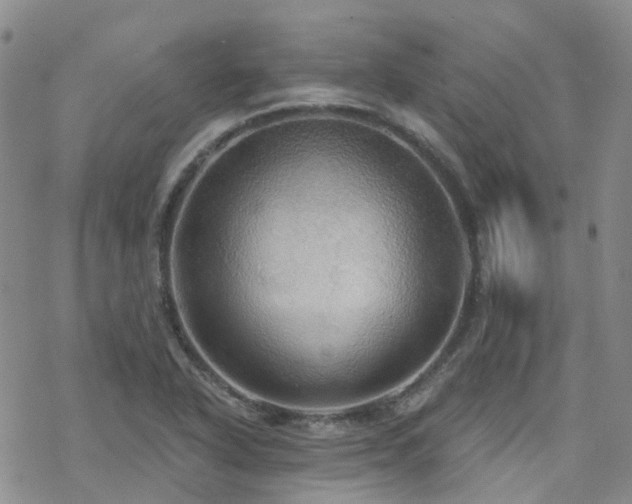 X0000070361318200606091021