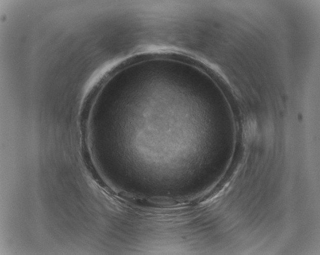 X0000070361319200606091021